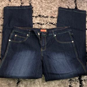 Vintage 90s plus size Flare Blue Jeans